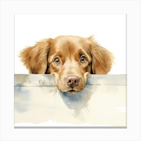 Golden Retriever 12 Canvas Print