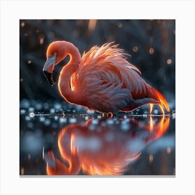 Flamingo 55 Canvas Print