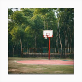 Basketball Court - Basketball Court Stock Videos & Royalty-Free Footage Canvas Print