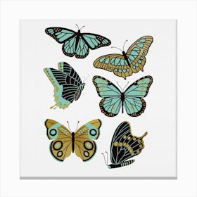 Texas Butterflies   Mint And Gold Square Canvas Print