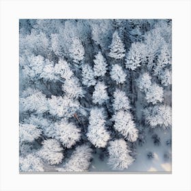 Aerial View Of Snow Covered Forest Canvas Print
