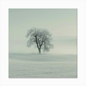 Lone Tree In The Snow Canvas Print