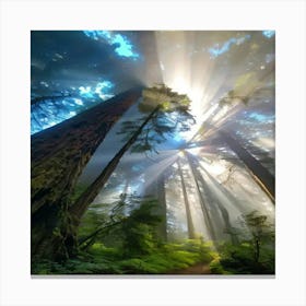 Redwood Forest Canvas Print