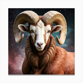 Aries male Canvas Print