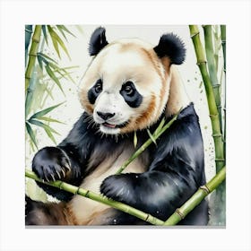 Panda Bear Painting Canvas Print