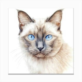 Colourpoint Cat Portrait 3 Canvas Print