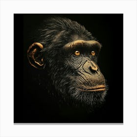 Chimpanzee 2 Canvas Print