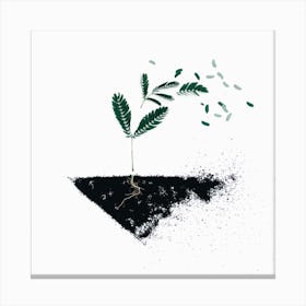 Tree Growing Out Of The Dirt Canvas Print