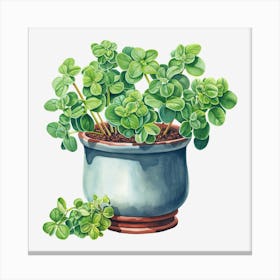 Thyme 2 Canvas Print