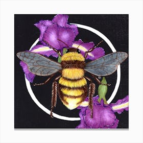 Purple Iris Bee Square Canvas Print