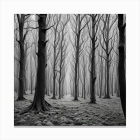 Black And White Forest 1 Canvas Print