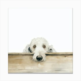 Dog Peeking Over The Fence 2 Canvas Print