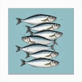 Sardines 3 Canvas Print