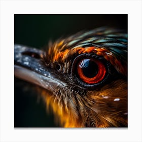 Kingfisher Bird Canvas Print