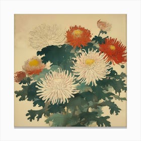 Japanese chrysanthemum 4 Canvas Print