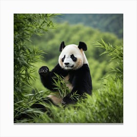 Panda Bear Canvas Print