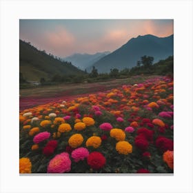 Chrysanthemums Canvas Print