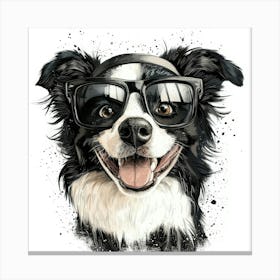 Border Collie 15 Canvas Print