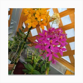 Orchids In A Greenhouse 2 Canvas Print