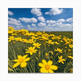 Yellow Flowers In A Field 7 Canvas Print