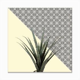 Dracaena Plant on Lemon and Lattice Pattern Wall Canvas Print