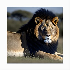 Lion Guard Canvas Print
