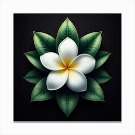 Frangipani Flower 1 Canvas Print