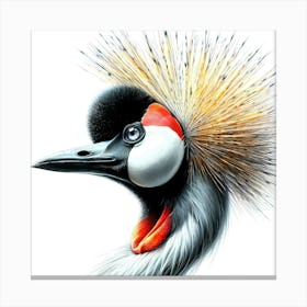 Crowned Crane Color Drawing - Wild Bird Artwork 156 Canvas Print