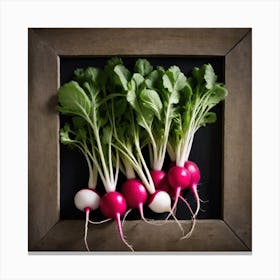 Radishes 32 Canvas Print