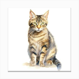 American Polydactyl Cat Portrait Canvas Print