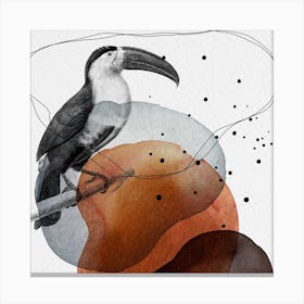 Feathered Friends Toucan Black & Brown Square Canvas Print