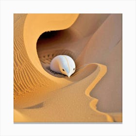 Sand Dunes 9 Canvas Print