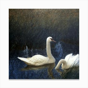 Swan 1 Canvas Print