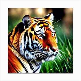 Tiger Wallpaper, Tiger Wallpaper, Tiger Wallpaper, Tiger Wallpaper Canvas Print