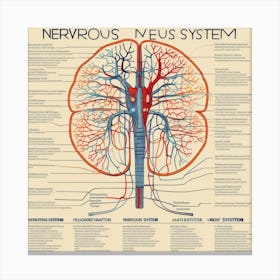 Nervous Nervous System Canvas Print