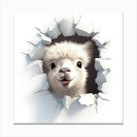 Llama 1 Canvas Print