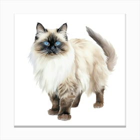 Siamese Cat Canvas Print