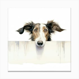 Collie Dog 1 Canvas Print