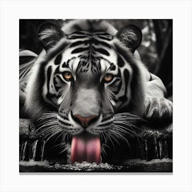 White Tiger 1 Canvas Print