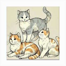 Three Cats In Playful Poses Canvas Print