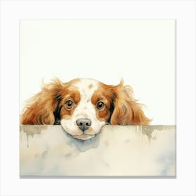 Spaniel Sussex 1 Canvas Print