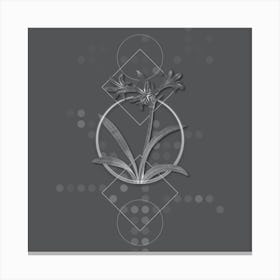 Vintage Amaryllis Botanical with Line Motif and Dot Pattern in Ghost Gray n.0399 Canvas Print