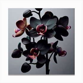 Orchids Canvas Print