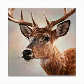 Deer Head 3 Canvas Print