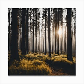 Sunrise In The Forest Canvas Print