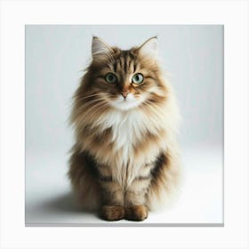 "The Cat in the White Void: A Study of Feline Majesty and Grace Canvas Print