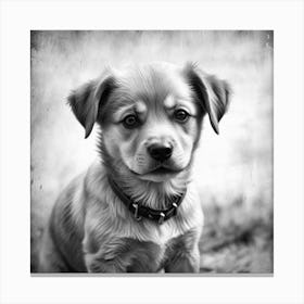 Puppy Portrait 1 Canvas Print