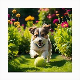 Dog Playing With Tennis Ball Canvas Print