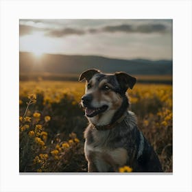 Dog In A Field Canvas Print