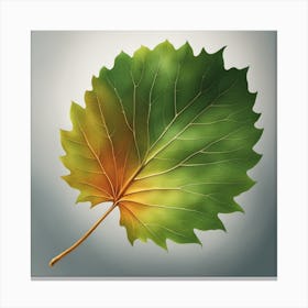 Leaf green and yellow Canvas Print